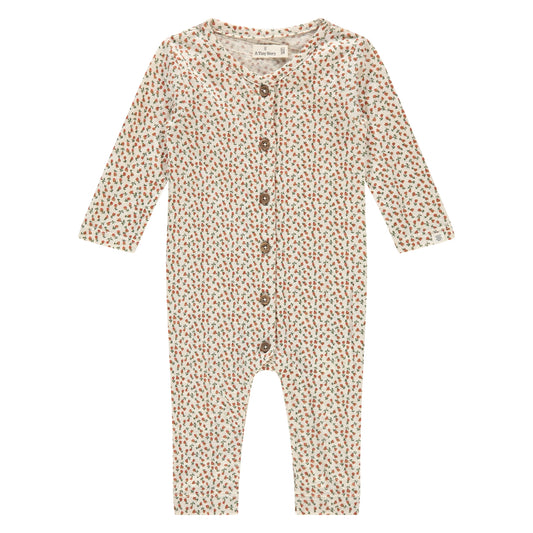 Baby boxpakje - modal mix - floral - 50