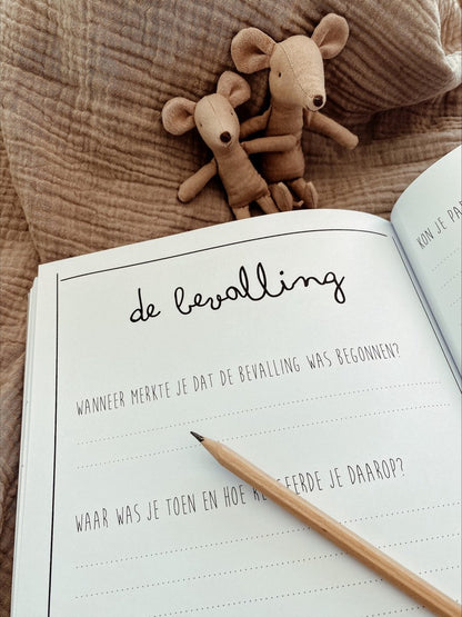 Invulboek - mijn negen maanden boek - linnen bruin