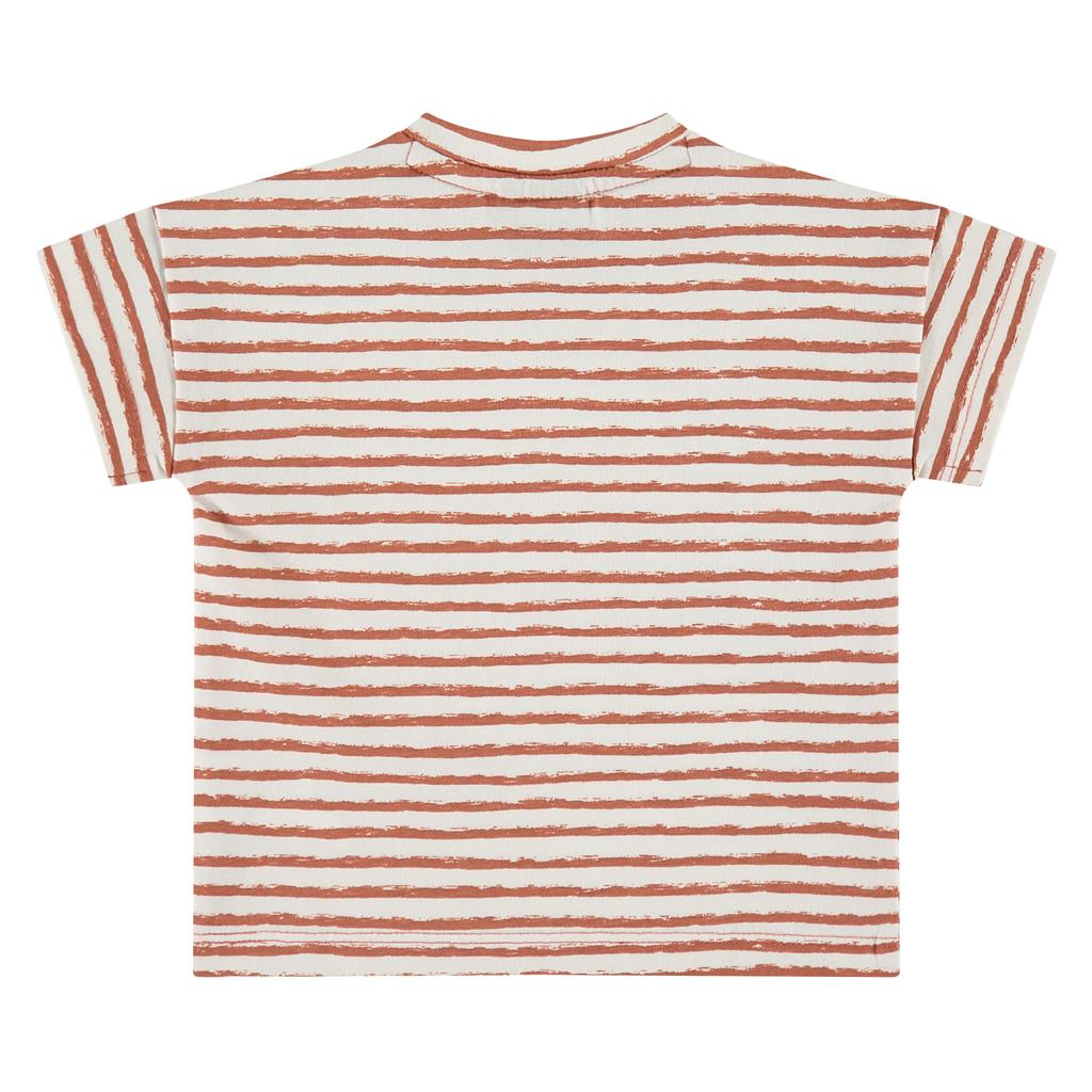 Baby T-shirt gestreept - Terra - Babyface