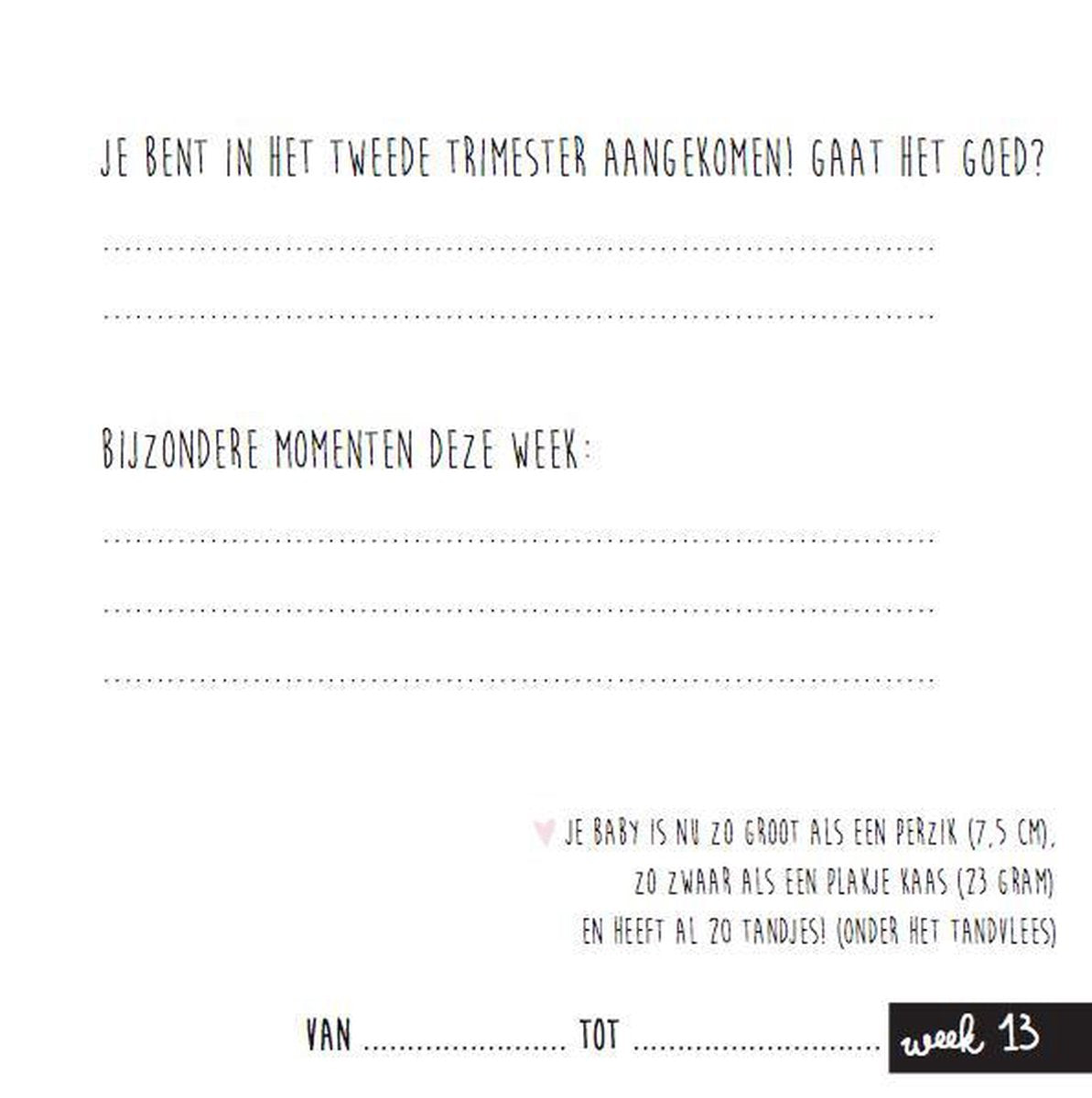 Invulboek - mijn negen maanden boek - pink