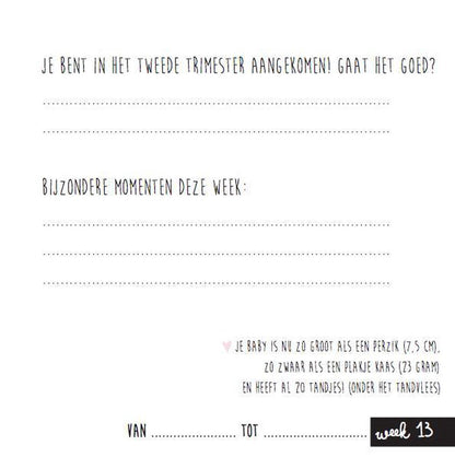 Invulboek - mijn negen maanden boek - pink
