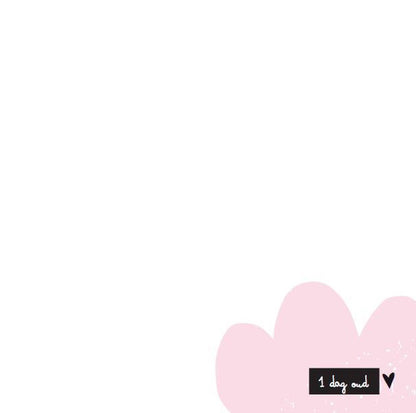 Invulboek - mijn negen maanden boek - pink