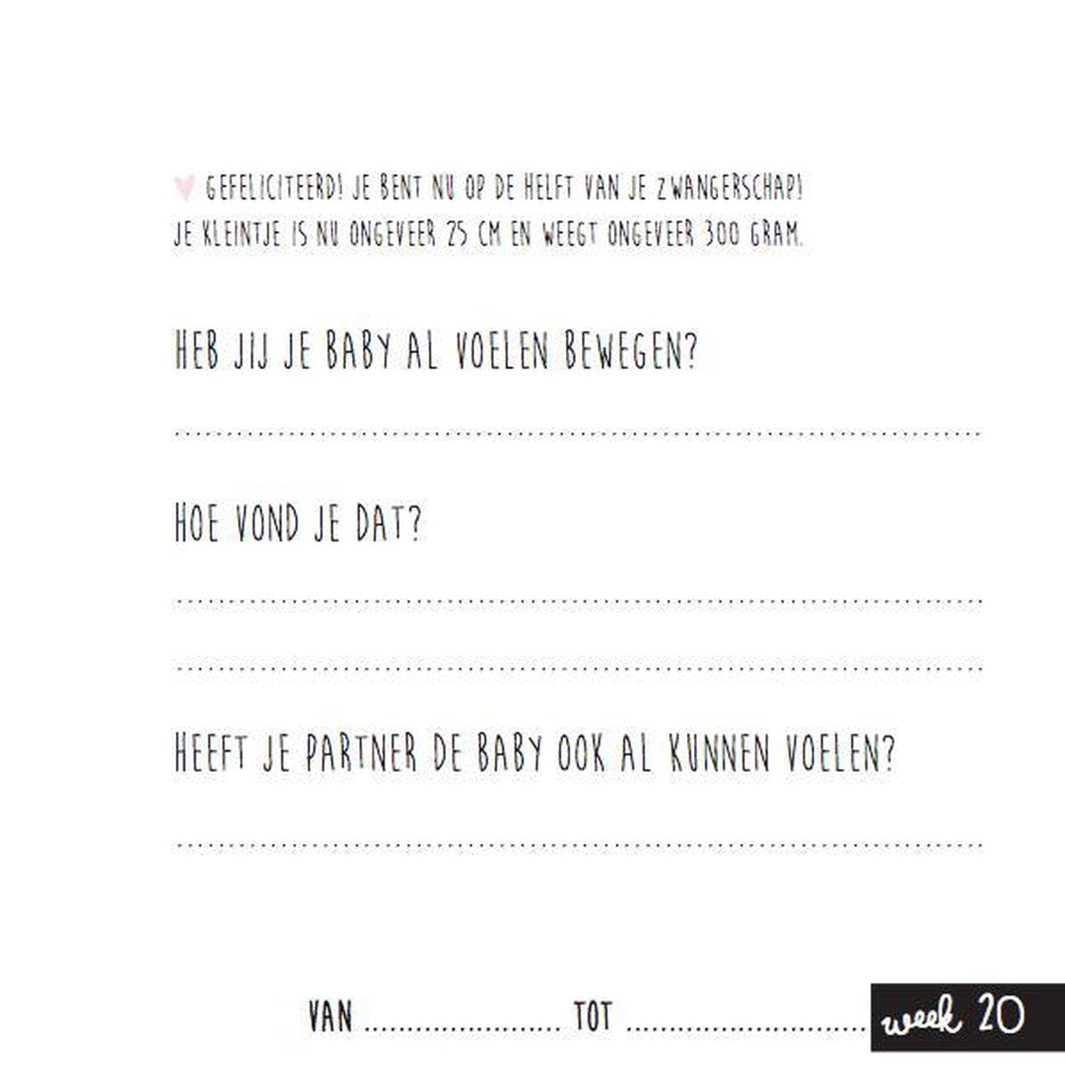 Invulboek - mijn negen maanden boek - pink