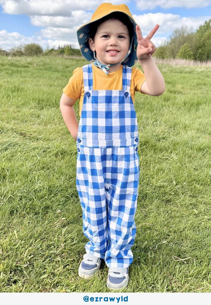 Tuinbroek - biologisch katoen - gingham - blauw