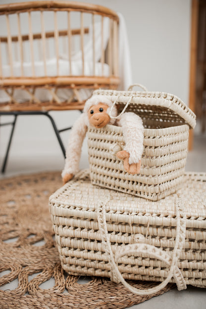 Commode mandje met deksel